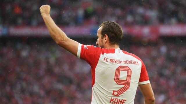 1693217330340036997.jpeg 1693217330340036997.jpeg